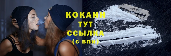 гидра Белокуриха
