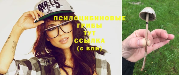 дурь Белоозёрский