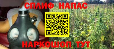 стафф Бийск