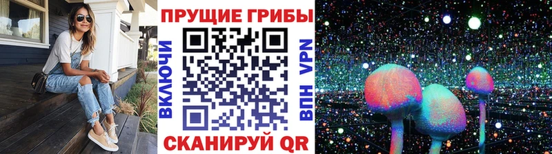 Псилоцибиновые грибы мицелий  продажа наркотиков  Видное 