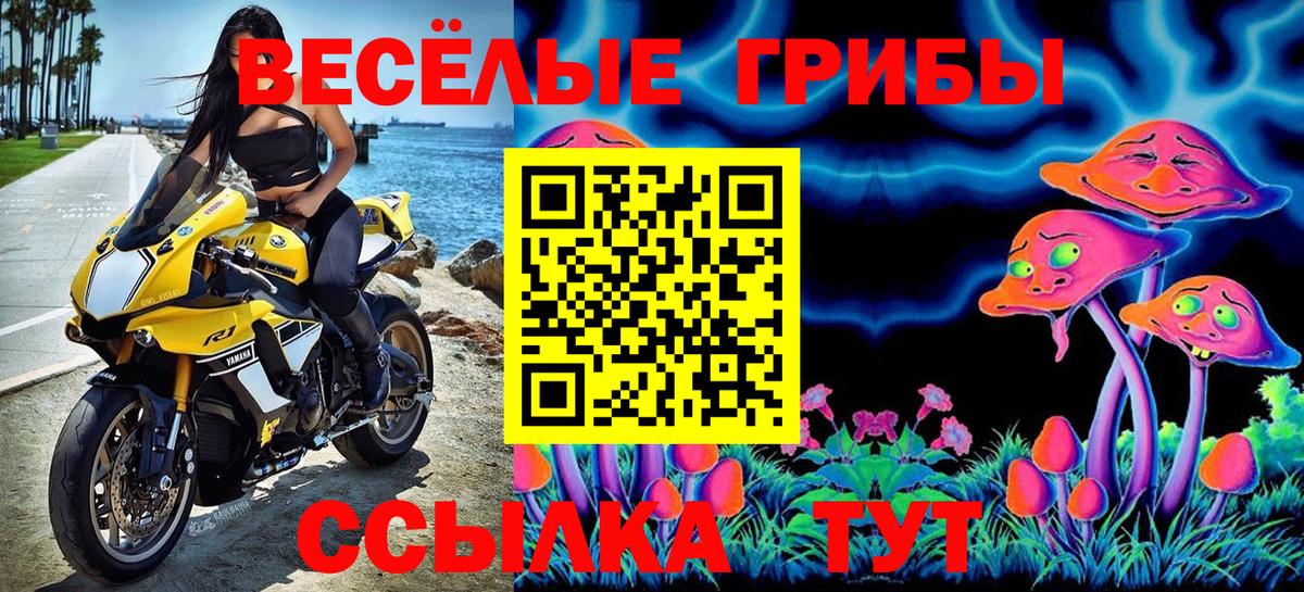 Галлюциногенные грибы мицелий Видное