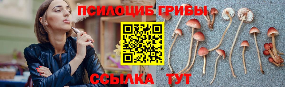 Псилоцибиновые грибы Magic Shrooms  Псилоцибиновые грибы Psilocybine cubensis  Видное  Вход с VPN 
